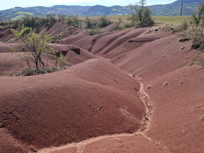 Rougier de Camar&egrave;s