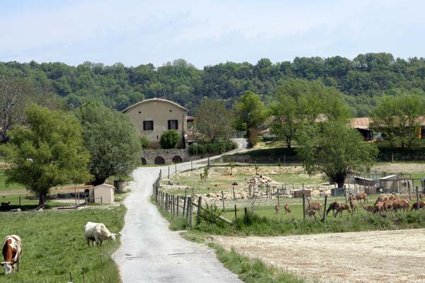 Ferme du Bas Chalut. Ferme du Bas Chalut.
