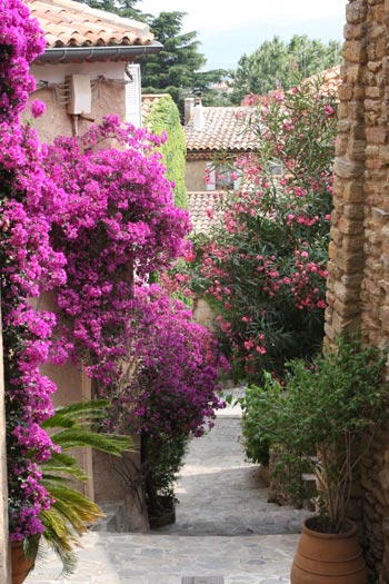 Bormes-les-Mimosas. Bormes-les-Mimosas.