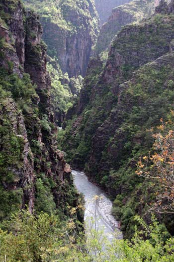 Les gorges.