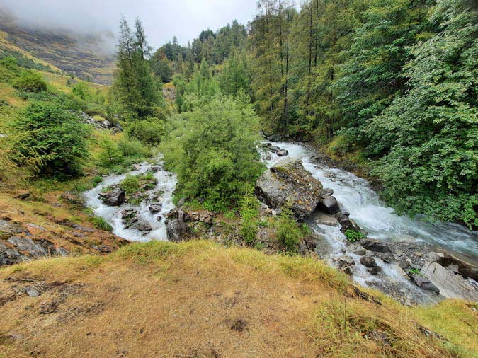 Les Gourniers Les Gourniers