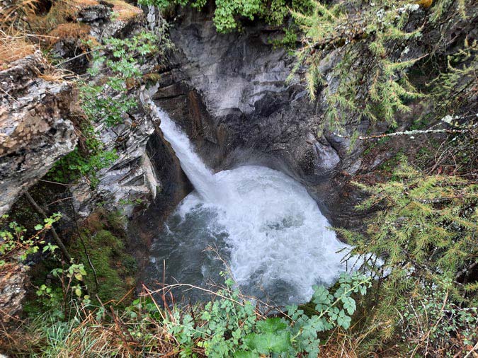 Les Gourniers Les Gourniers