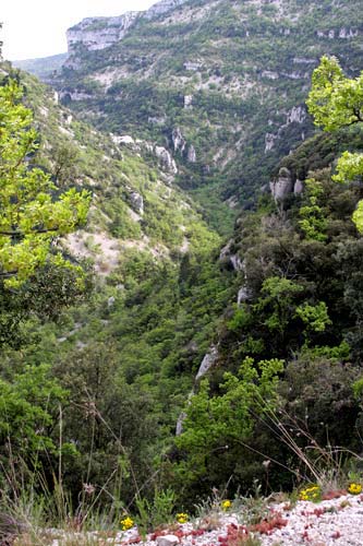 Gorges de la Nesque.