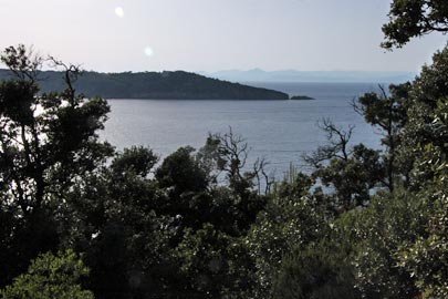 Port-Cros Port-Cros