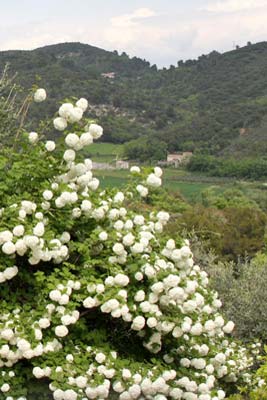 Volx : la vallée au delà des fleurs