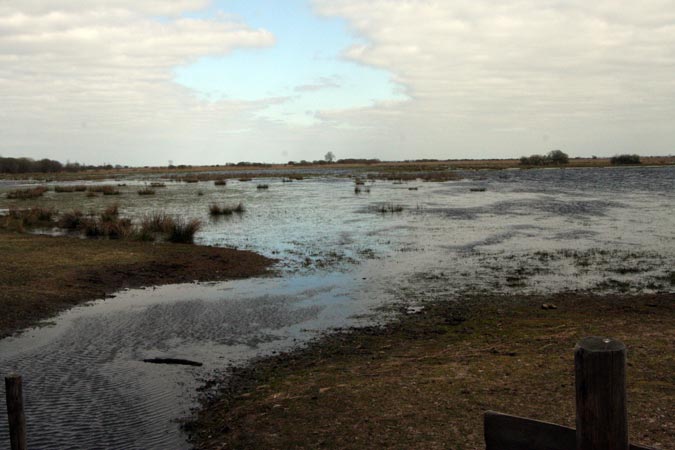 Marais de Brière