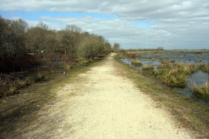 Marais de Brière