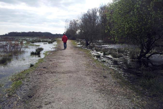 Marais de Brière