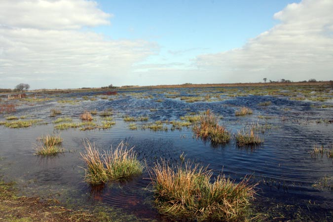 Marais de Brière