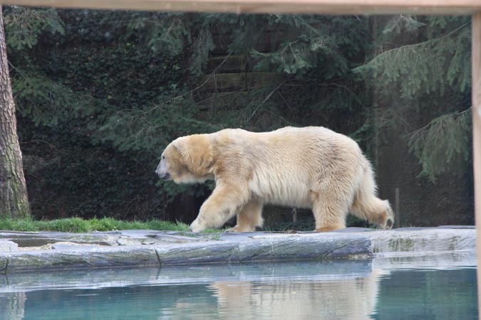 Zoo La Fl&egrave;che