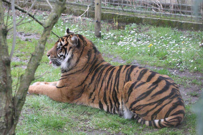 Zoo La Flèche