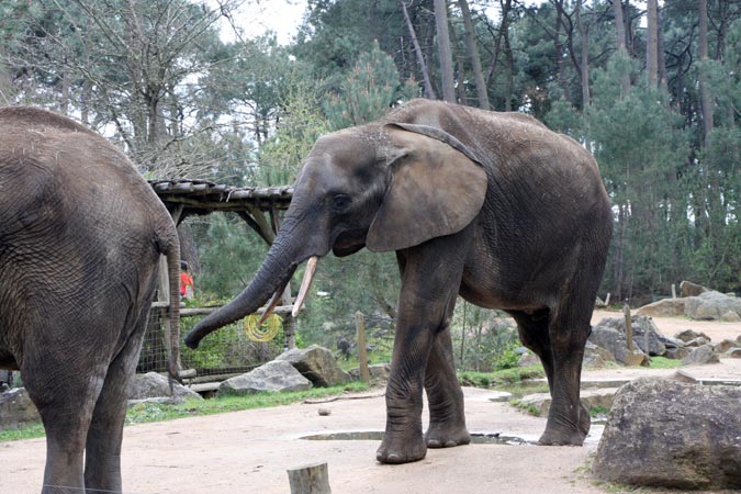 Zoo La Fl&egrave;che