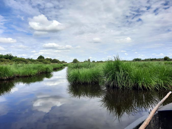 Marais de Bri&egrave;re
