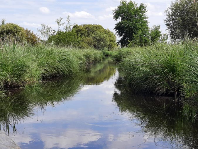 Marais de Bri&egrave;re