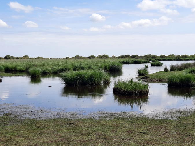 Marais de Bri&egrave;re
