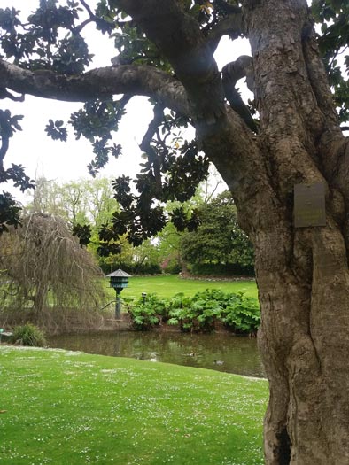 Jardin des plantes