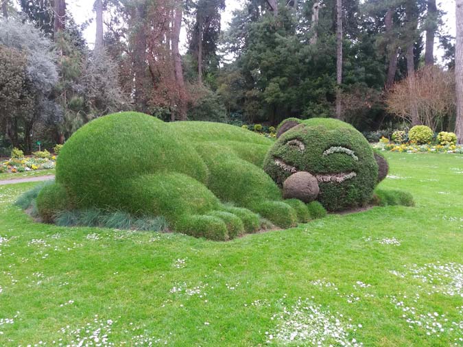 Jardin des plantes