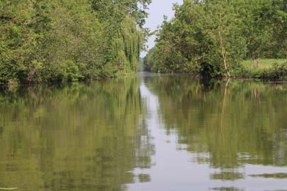 Venise verte