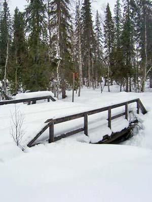 Beautés hivernales