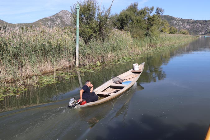 Skadar Skadar