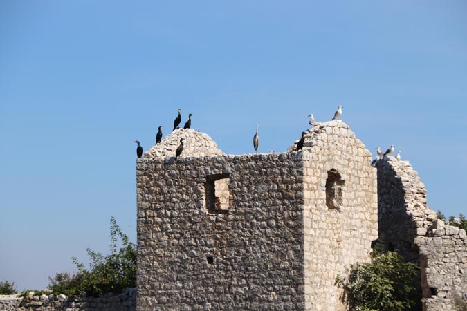 Skadar Skadar