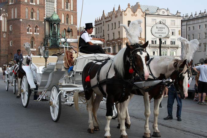 Cracovie Cracovie