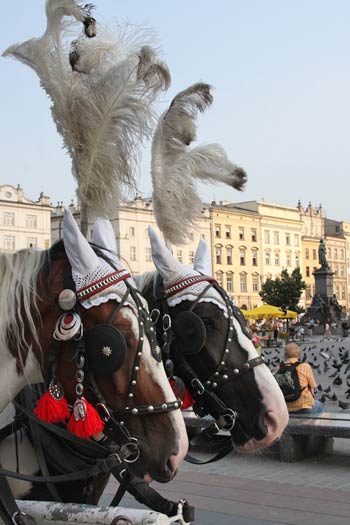 Cracovie Cracovie