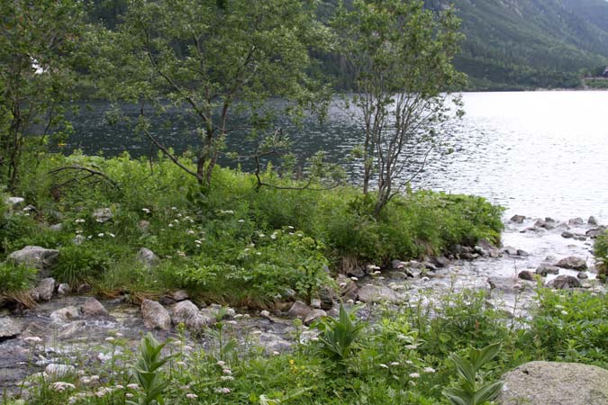 Lac Moskie Lac Moskie