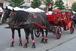 Les calèches de la cité