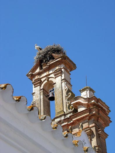 Cigogne à San Lucar de Guadiana Cigogne à San Lucar de Guadiana