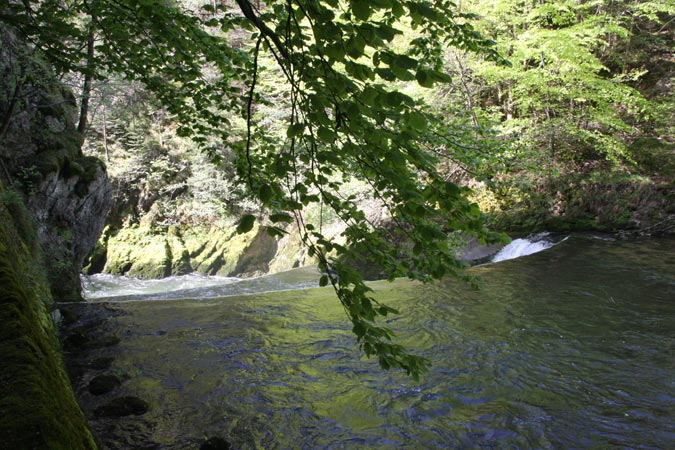 Gorges de l'Areuse