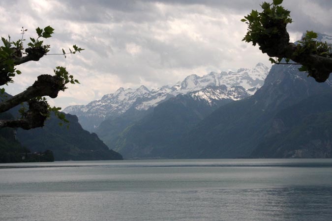 Lac des 4 cantons Lac des 4 cantons
