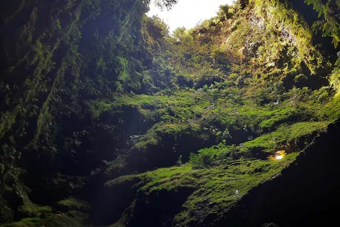 Algar do Carvao. Algar do Carvao.