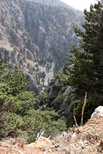 Gorges Gorges