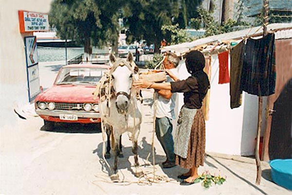 Vassiliki