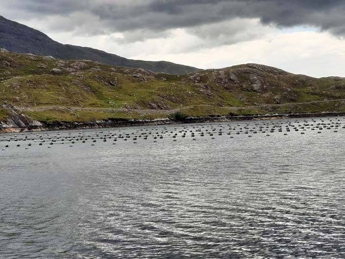 Crosi&egrave;re dans le COnnemara