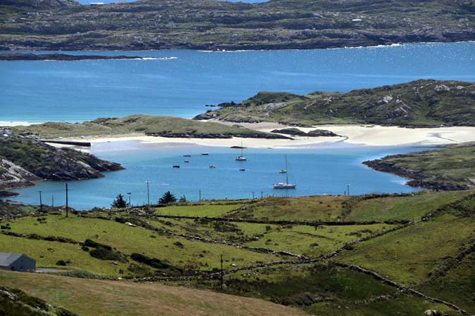 Coomakista Coomakista