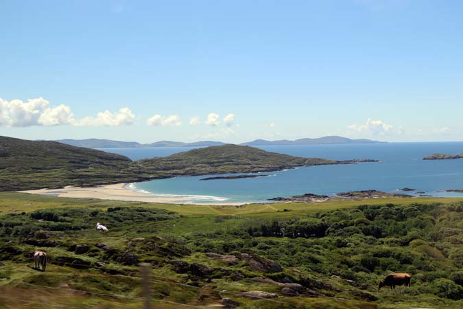 Coomakista Coomakista