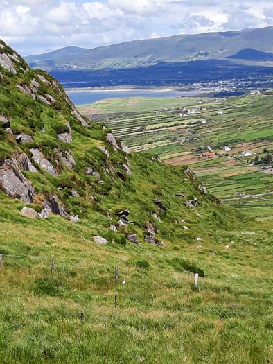 Coomakista Coomakista