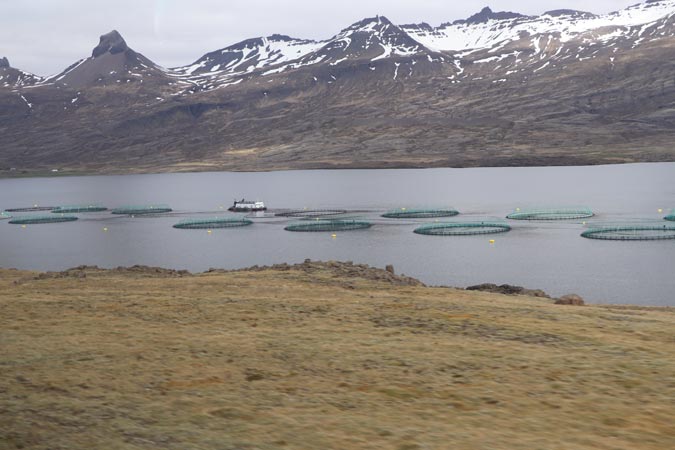 Parcs à saumons Parcs à saumons