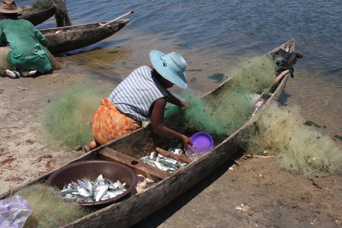 Retour de pêche. Retour de pêche.