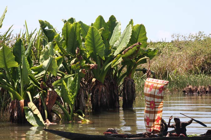 Canal des Pangalanes.