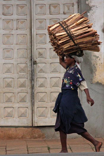 Porteuse de bois.