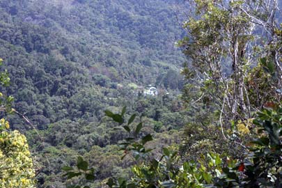 Parc de Ranomafana.