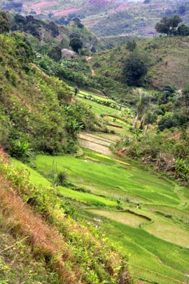 Train Fianarantsoa-Manakara.