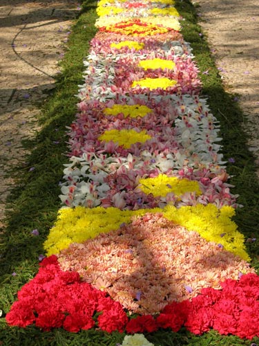 Fête des fleurs, Funchal