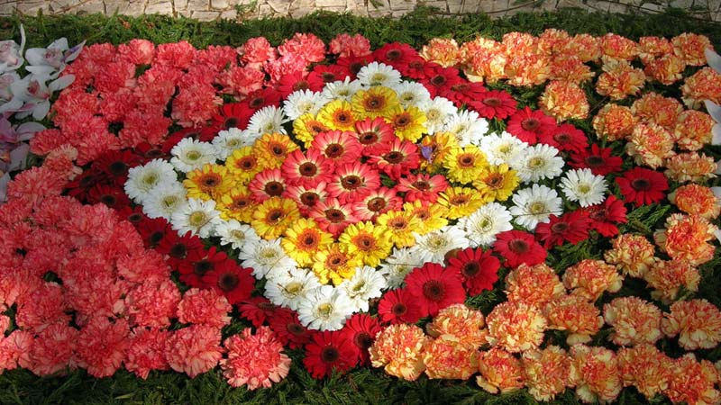 Fête des fleurs, Funchal