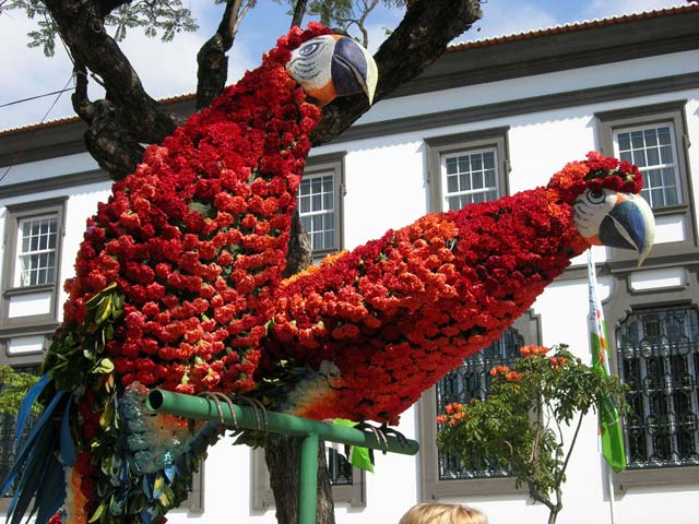 Fête des fleurs, Funchal