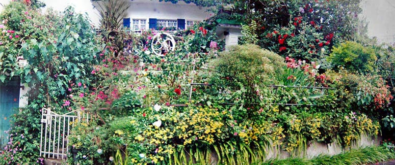 Fleurs Fleurs