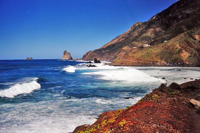 Le Nord de Tenerife est resté sauvage, on y trouve des forêts millénaires.
